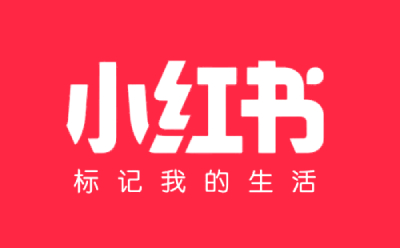 2025年广东省湛江雷州市安置类公益性岗位招聘工作人员17名公